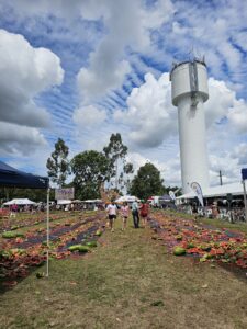 A weekend of melons, green energy & mountain views By Dr Ram Mohan, Editor