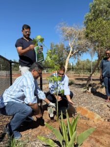 ‘Ek Ped Maa Ke Naam’ campaign reaches Karratha with native tree plantation